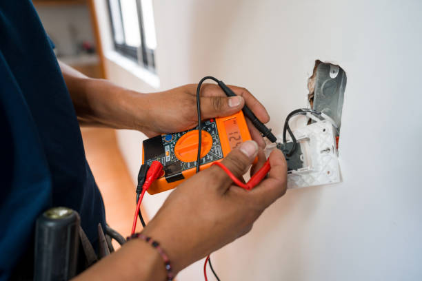Best Electric Panel Repair  in Crainvle, IL