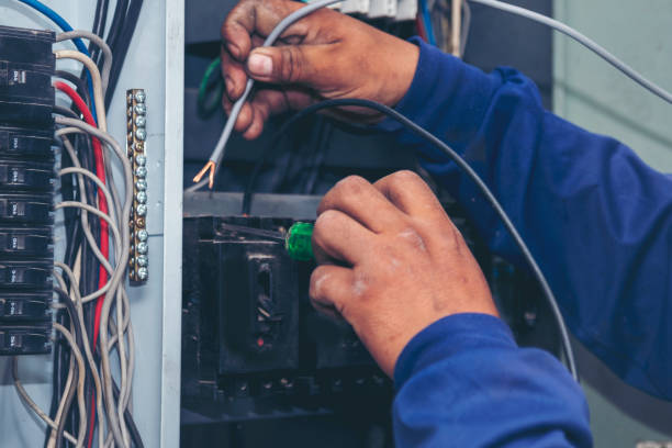 Best Electrical Repair Services  in Crainvle, IL