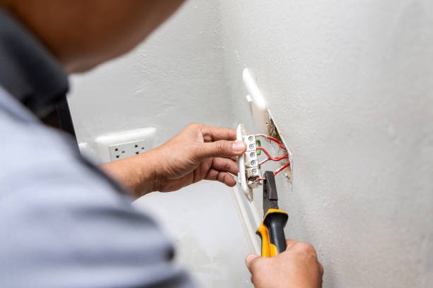 Best Electrician for Home Renovation  in Crainvle, IL