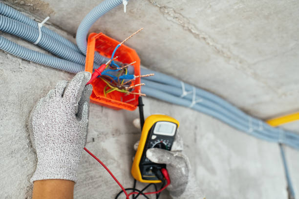 Best Generator Installation Services  in Crainvle, IL