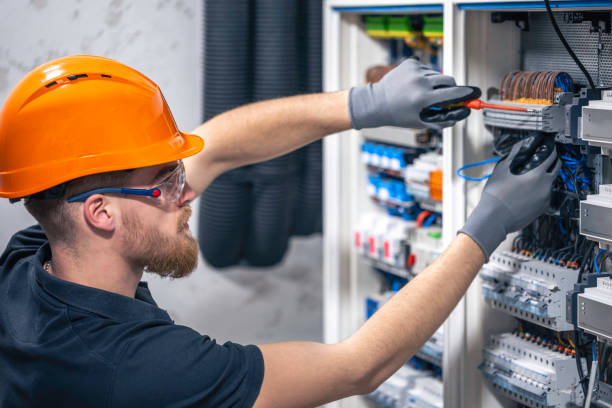 Best Electrical Troubleshooting Services  in Crainvle, IL